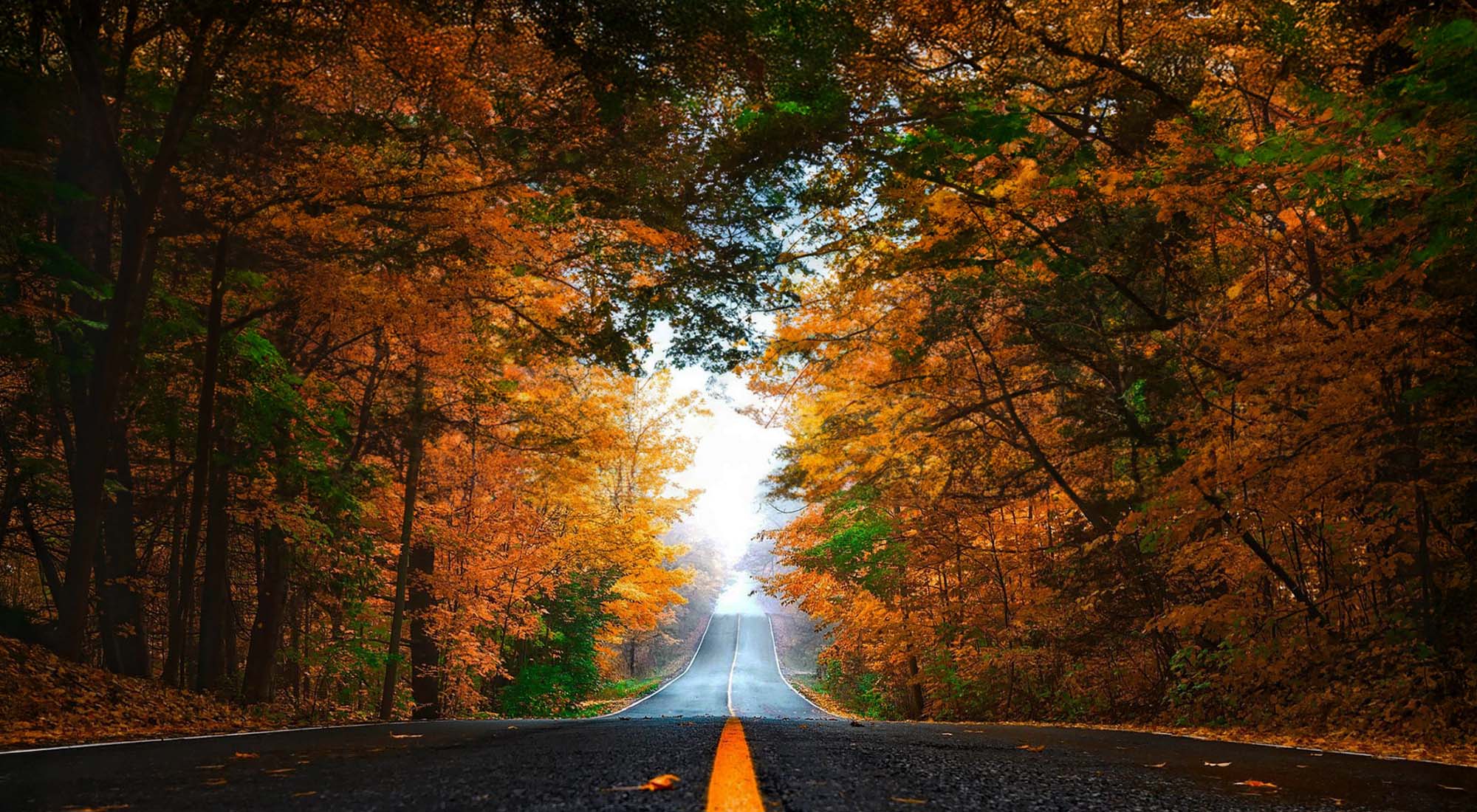 Reifen, Fahrzeuge, Versicherung